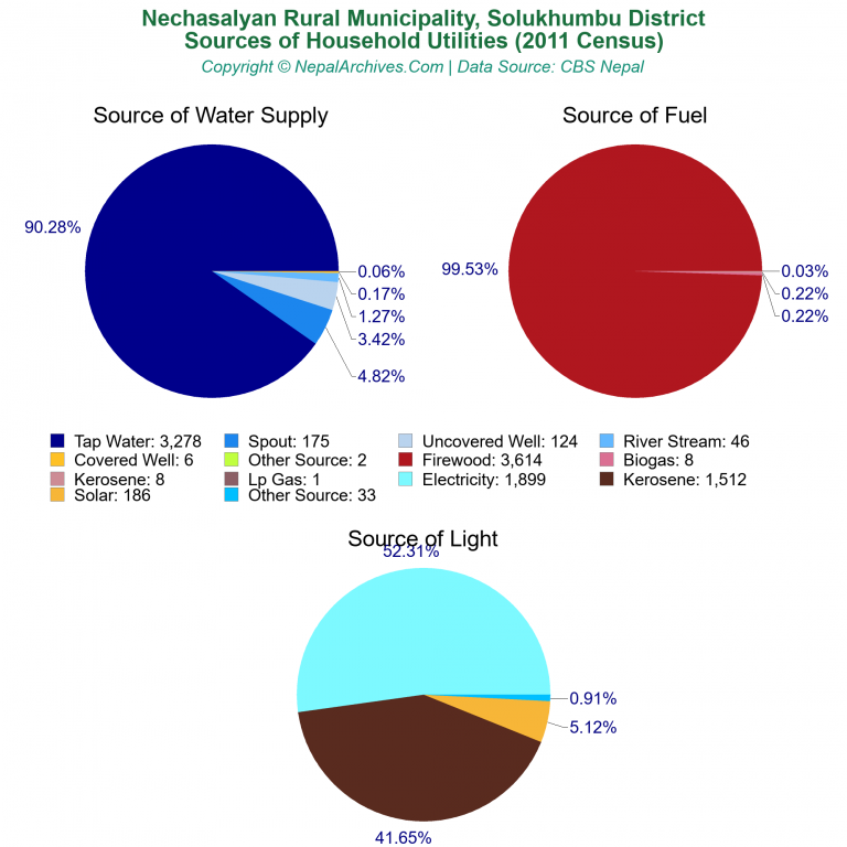 Household Utilities Pie Charts of Nechasalyan Rural Municipality