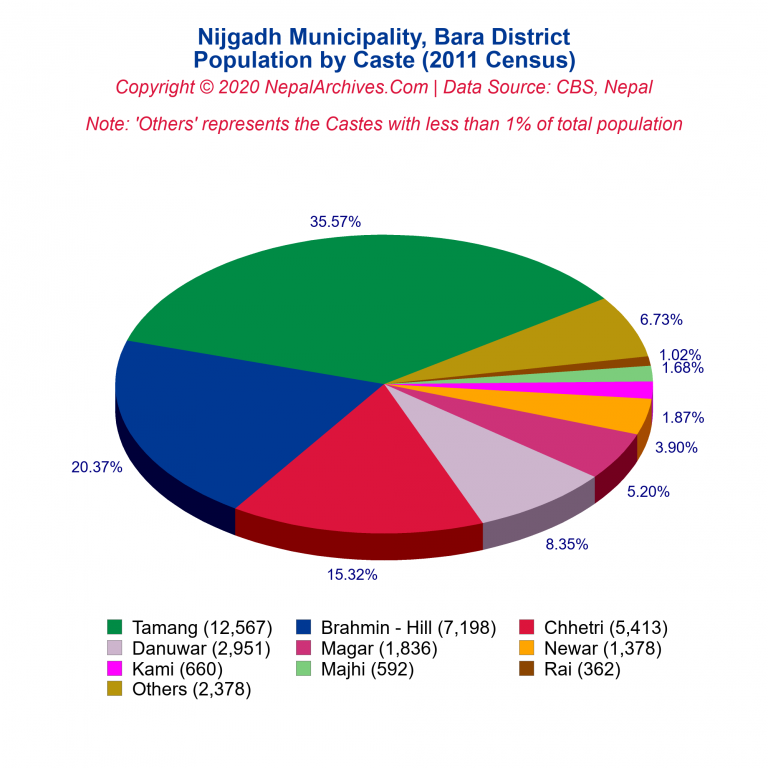 Population by Castes Chart of Nijgadh Municipality