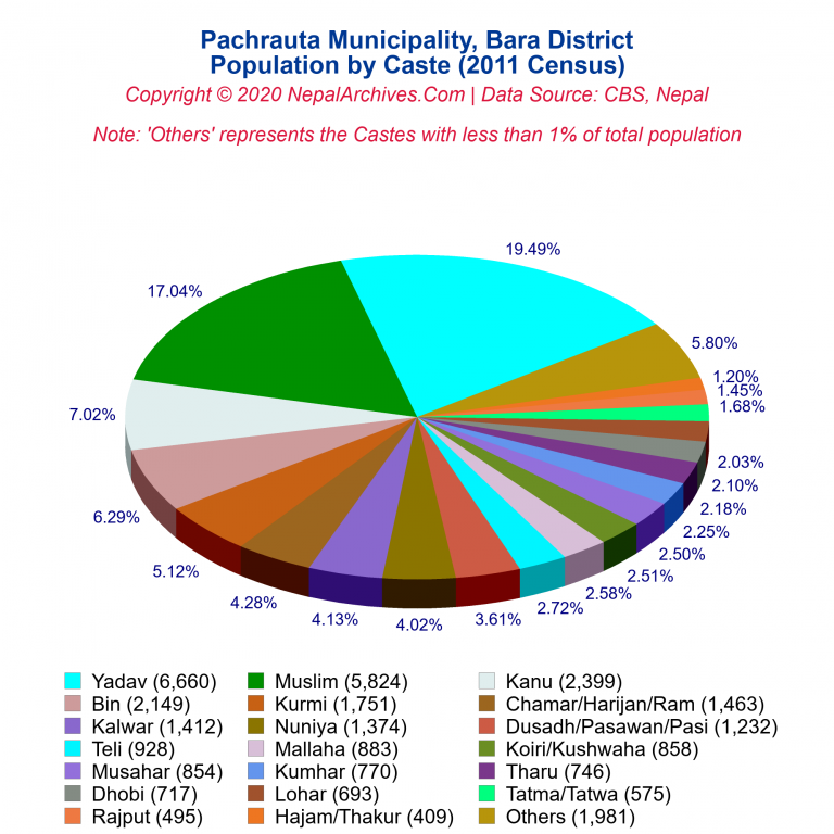 Population by Castes Chart of Pachrauta Municipality