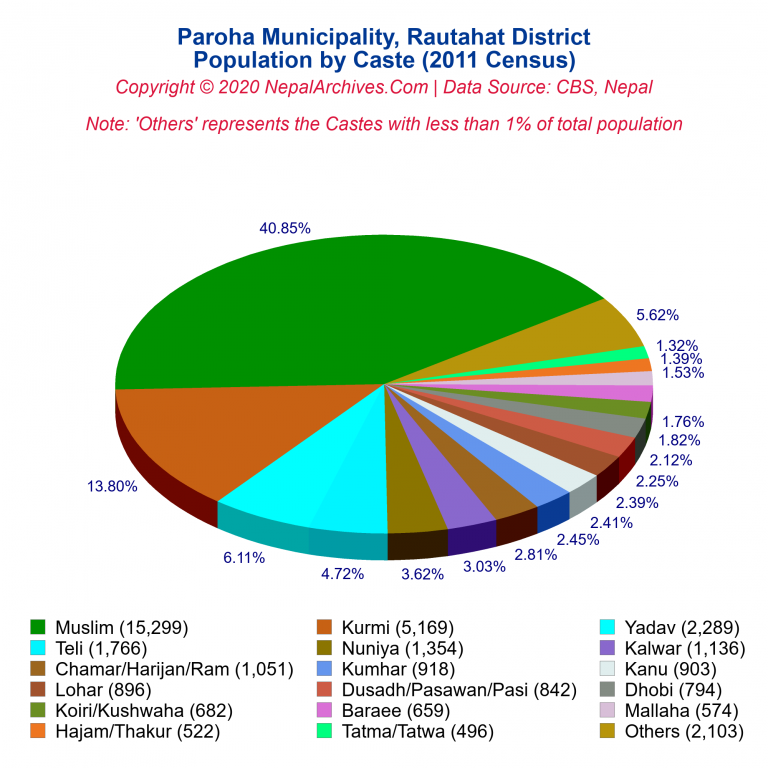 Population by Castes Chart of Paroha Municipality