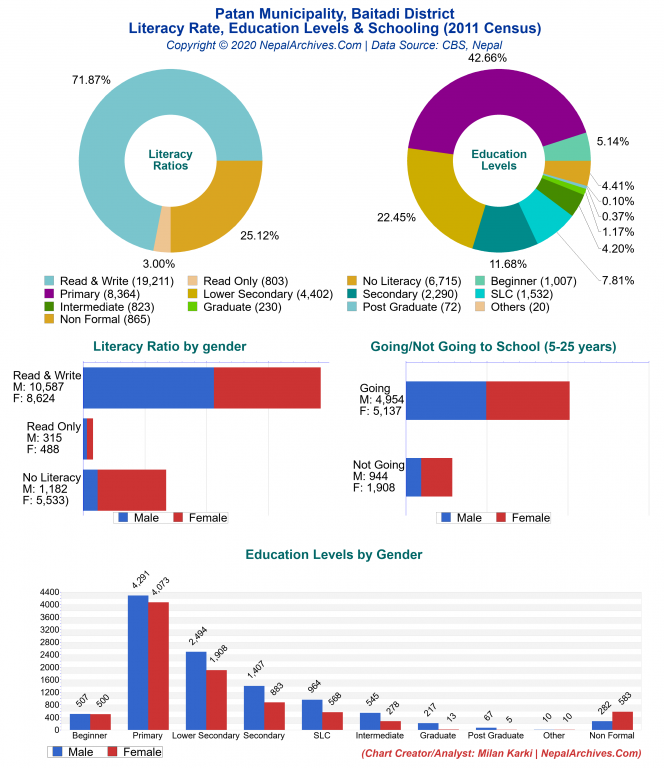 Literacy, Education Levels & Schooling Charts of Patan Municipality