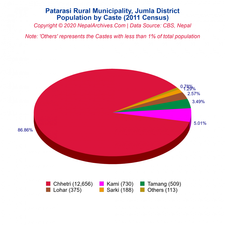 Population by Castes Chart of Patarasi Rural Municipality