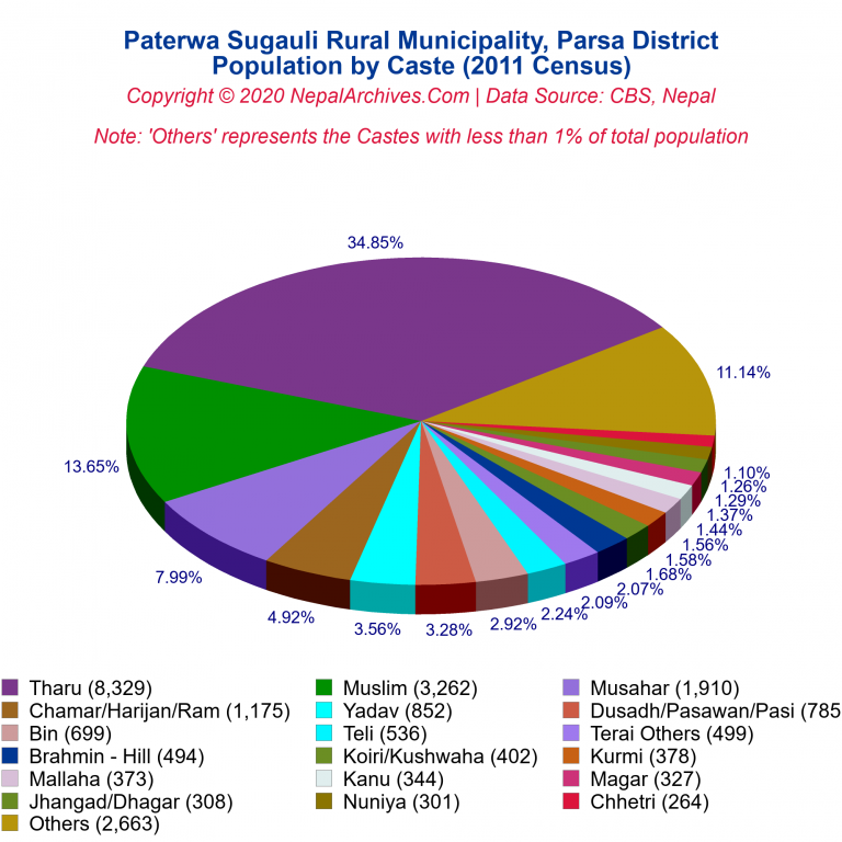 Population by Castes Chart of Paterwa Sugauli Rural Municipality