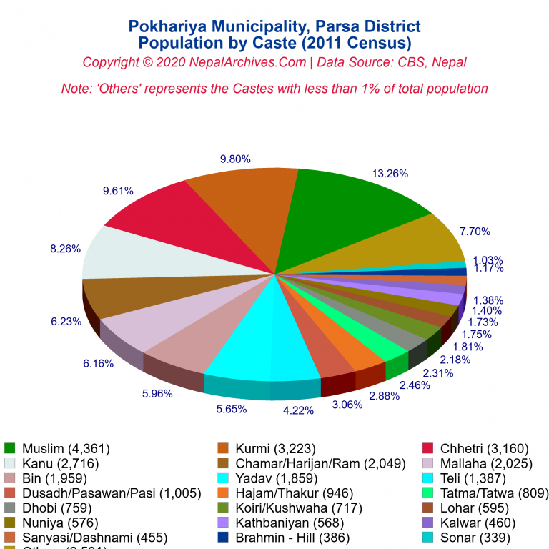 Population by Castes Chart of Pokhariya Municipality