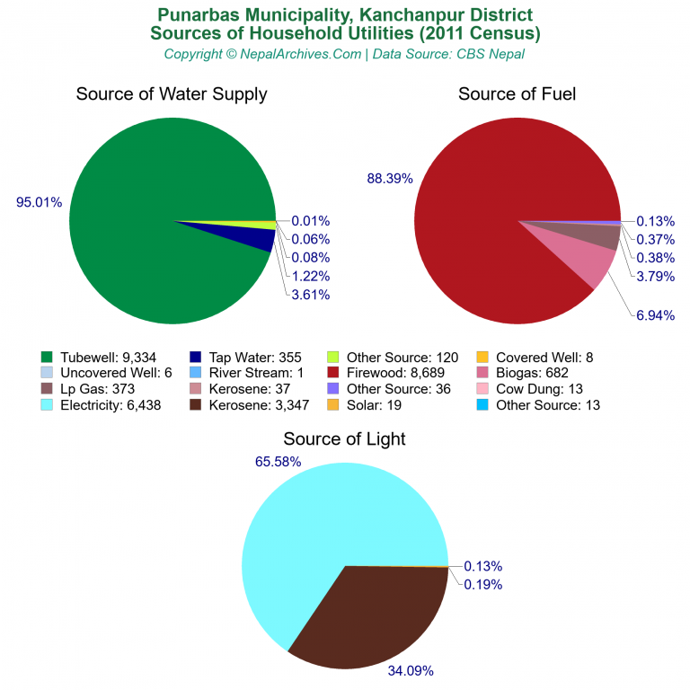 Household Utilities Pie Charts of Punarbas Municipality