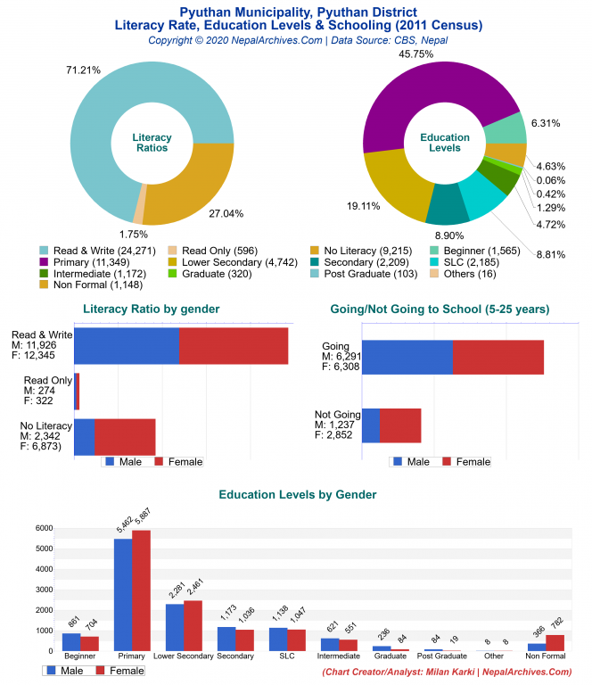 Literacy, Education Levels & Schooling Charts of Pyuthan Municipality