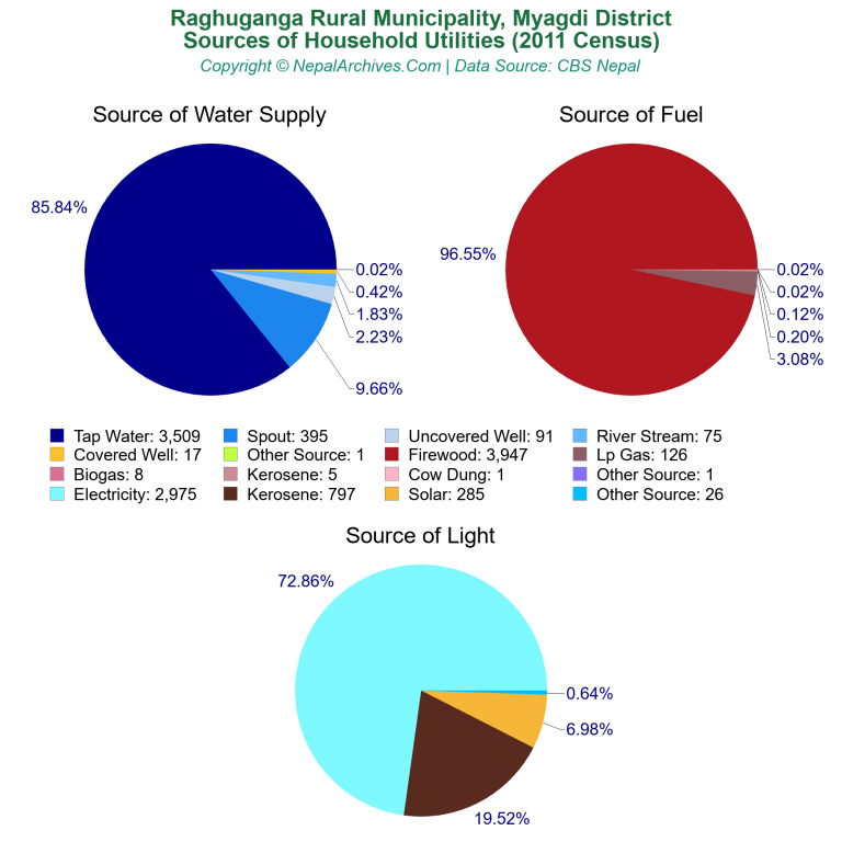 Household Utilities Pie Charts of Raghuganga Rural Municipality