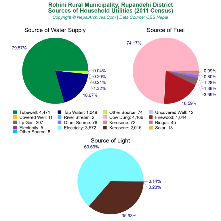 Household Utilities Pie Charts of Rohini Rural Municipality