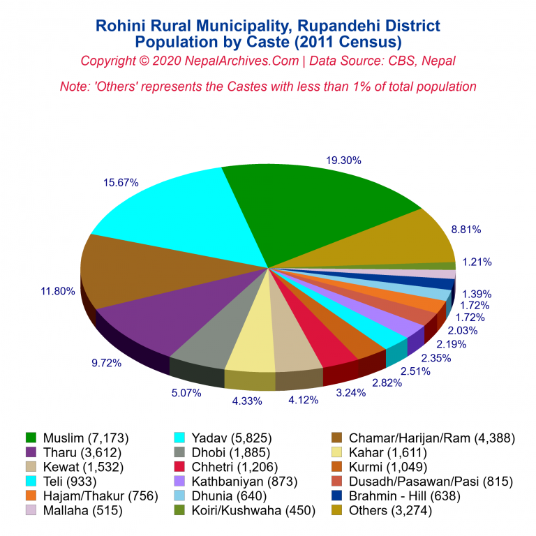 Population by Castes Chart of Rohini Rural Municipality