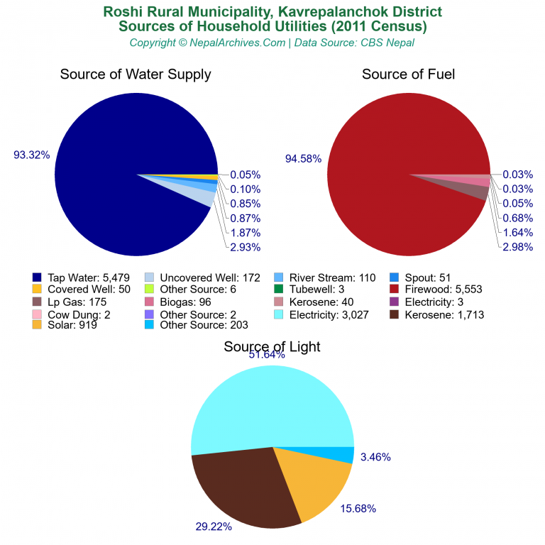 Household Utilities Pie Charts of Roshi Rural Municipality