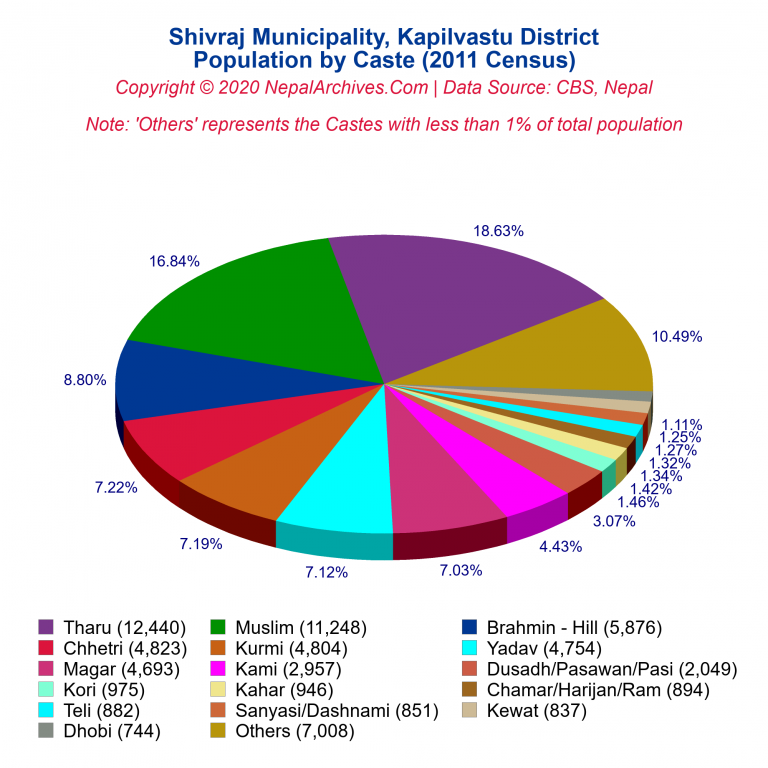 Population by Castes Chart of Shivraj Municipality