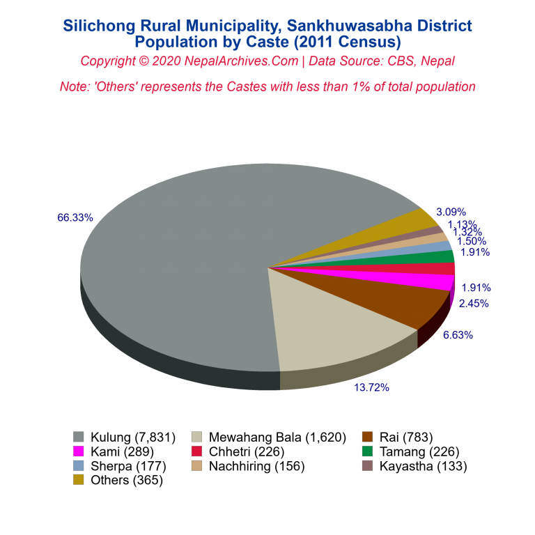 Population by Castes Chart of Silichong Rural Municipality