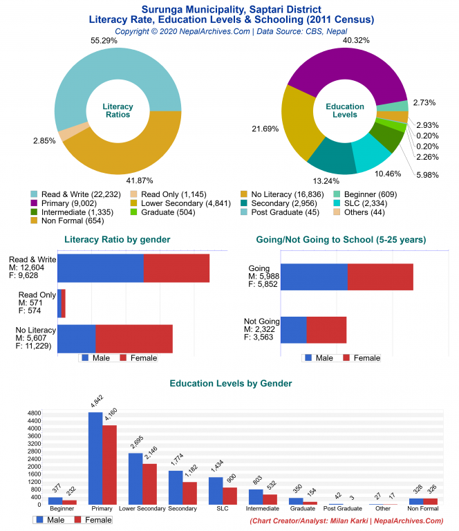 Literacy, Education Levels & Schooling Charts of Surunga Municipality