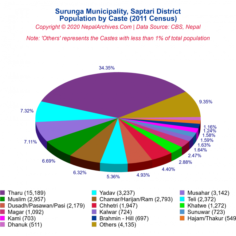 Population by Castes Chart of Surunga Municipality