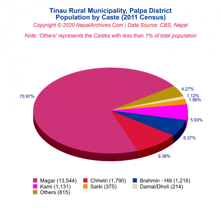 Population by Castes Chart of Tinau Rural Municipality