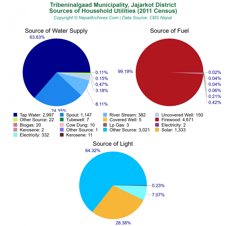 Household Utilities Pie Charts of Tribeninalgaad Municipality