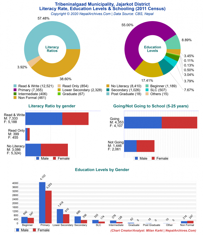 Literacy, Education Levels & Schooling Charts of Tribeninalgaad Municipality