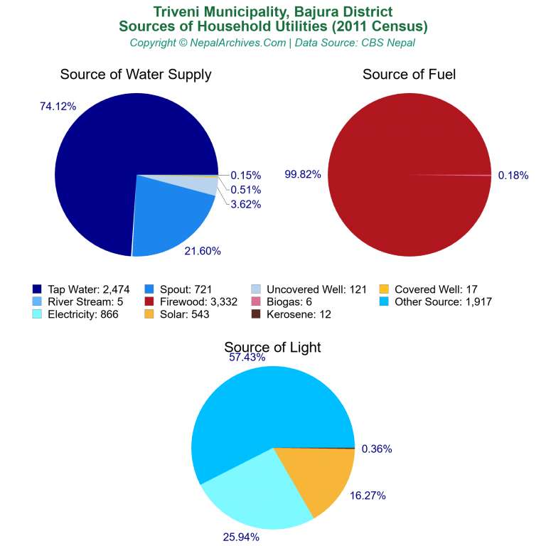 Household Utilities Pie Charts of Triveni Municipality