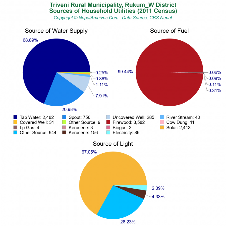 Household Utilities Pie Charts of Triveni Rural Municipality