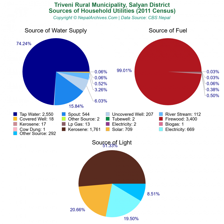 Household Utilities Pie Charts of Triveni Rural Municipality