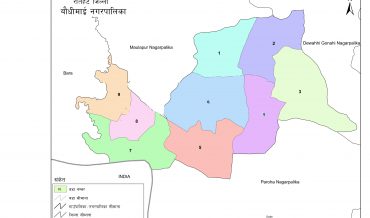 Baudhimai Municipality Profile | Facts & Statistics