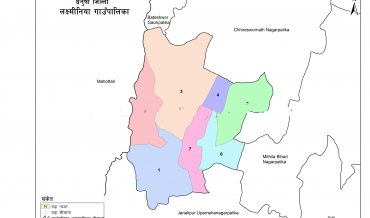 Laxminiya Rural Municipality Profile | Facts & Statistics