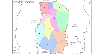 Pathari Shanishchare Municipality Profile | Facts & Statistics