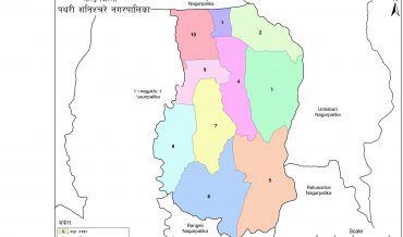 Pathari Shanishchare Municipality Profile | Facts & Statistics