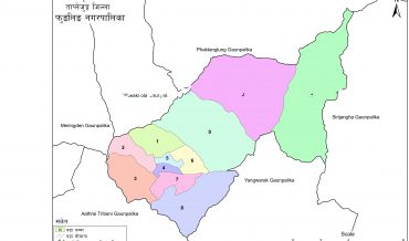 Phungling Municipality Profile | Facts & Statistics