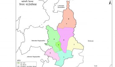 Pipra Rural Municipality Profile | Facts & Statistics