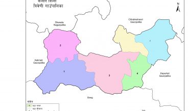 Triveni Rural Municipality Profile | Facts & Statistics