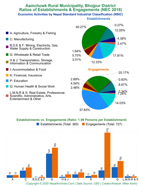 Economic Activities by NSIC Charts of Aamchowk Rural Municipality