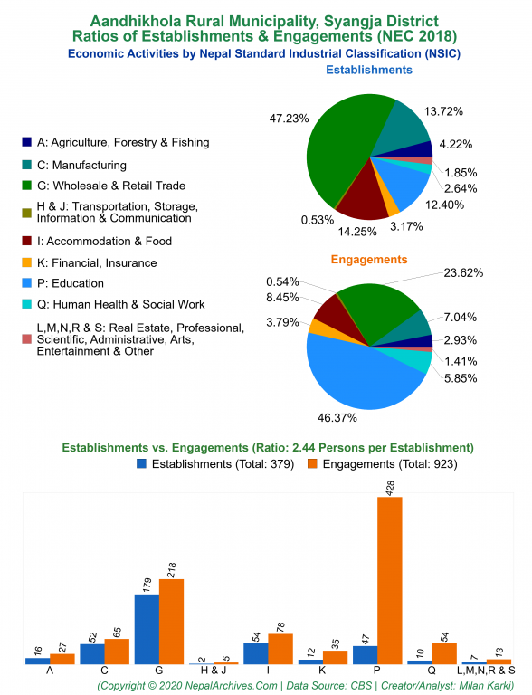 Economic Activities by NSIC Charts of Aandhikhola Rural Municipality