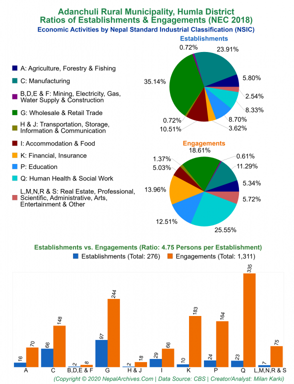Economic Activities by NSIC Charts of Adanchuli Rural Municipality