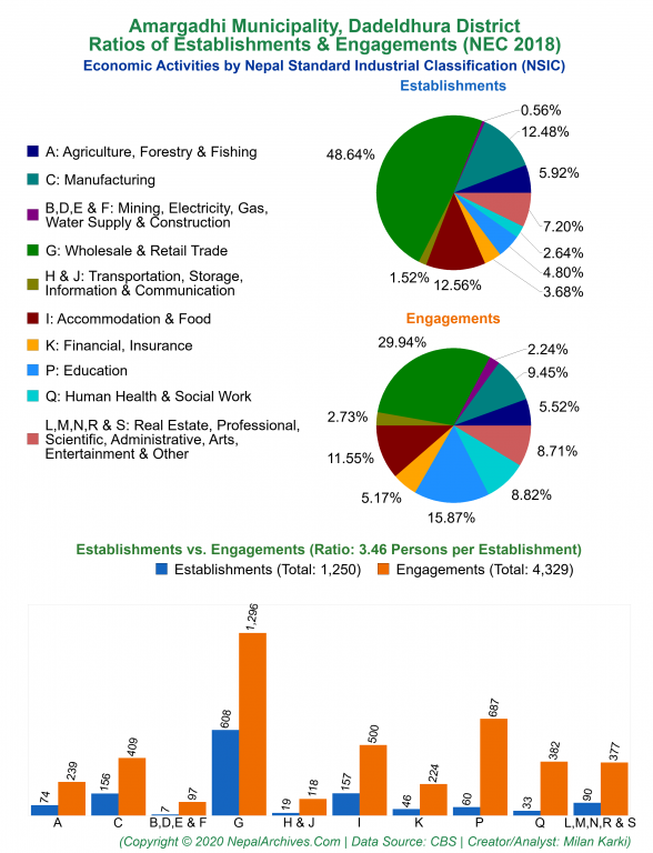 Economic Activities by NSIC Charts of Amargadhi Municipality