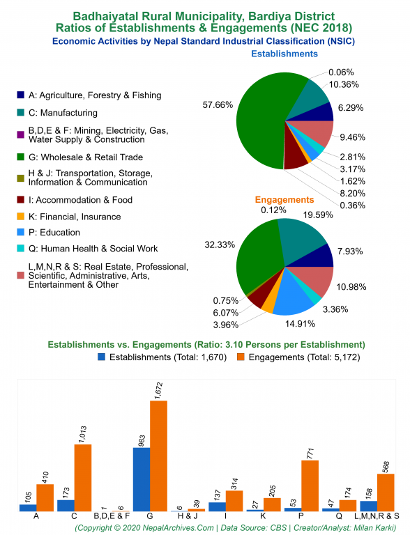Economic Activities by NSIC Charts of Badhaiyatal Rural Municipality