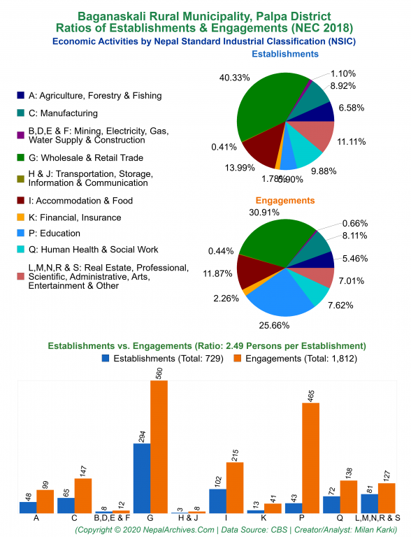Economic Activities by NSIC Charts of Baganaskali Rural Municipality