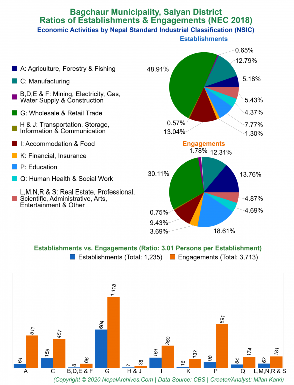 Economic Activities by NSIC Charts of Bagchaur Municipality