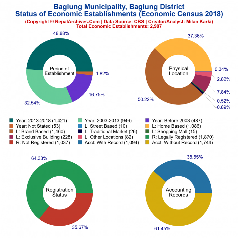 NEC 2018 Economic Establishments Charts of Baglung Municipality