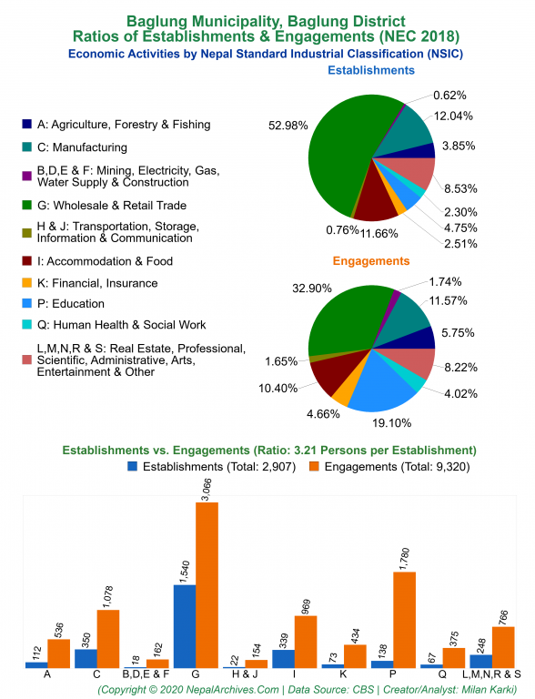 Economic Activities by NSIC Charts of Baglung Municipality