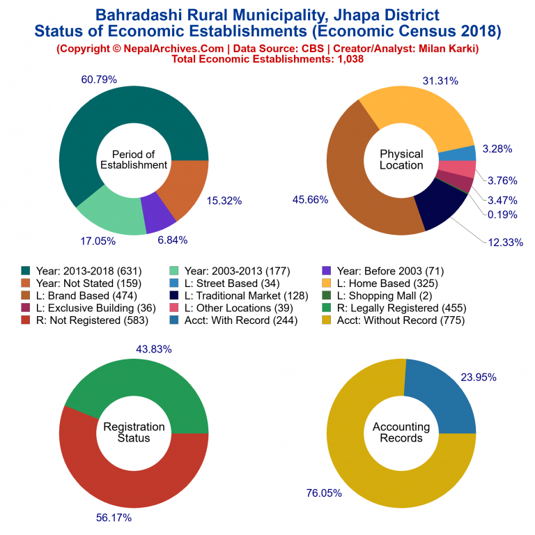 NEC 2018 Economic Establishments Charts of Bahradashi Rural Municipality