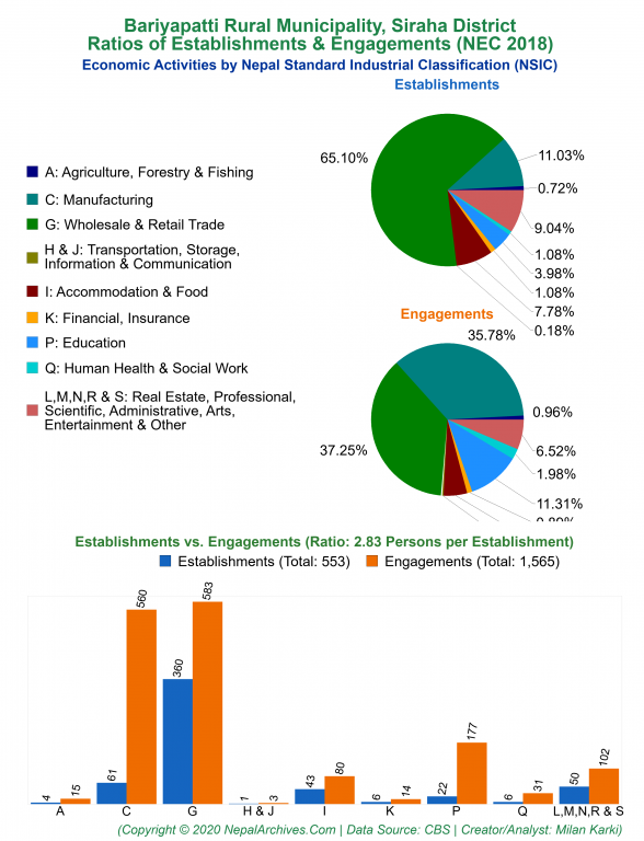 Economic Activities by NSIC Charts of Bariyapatti Rural Municipality