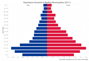 Population Pyramid of Bedkot Municipality, Kanchanpur District (2011 Census)
