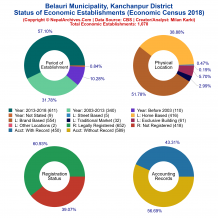 Belauri Municipality (Kanchanpur) | Economic Census 2018