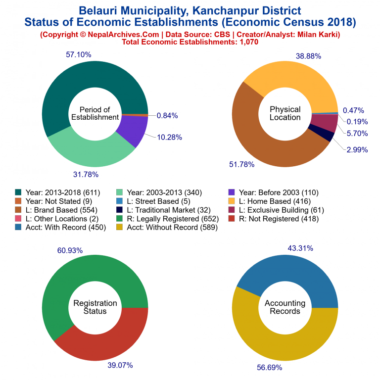 NEC 2018 Economic Establishments Charts of Belauri Municipality