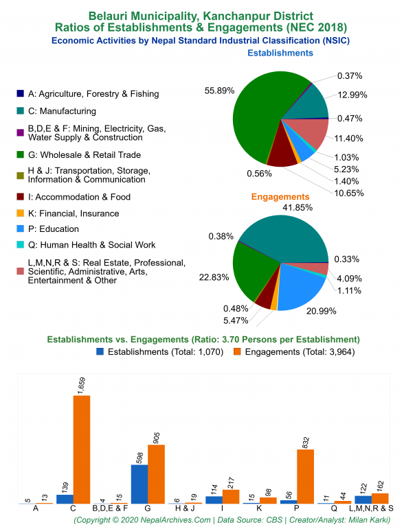 Economic Activities by NSIC Charts of Belauri Municipality