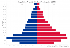 Population Pyramid of Belauri Municipality, Kanchanpur District (2011 Census)