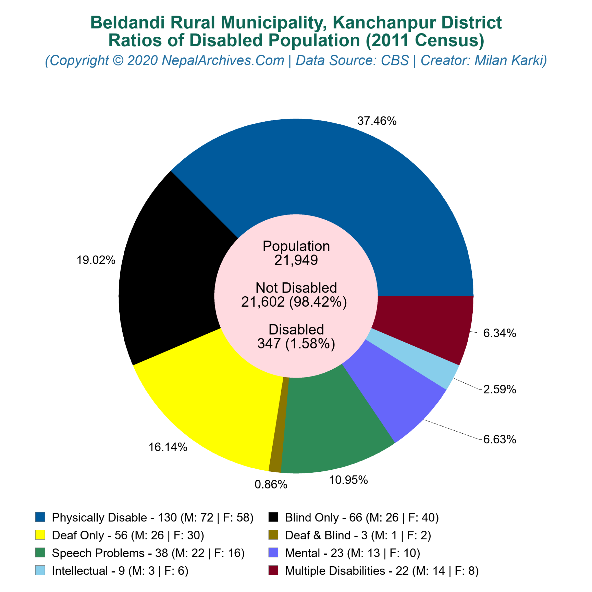 Disabled Population Pie Chart of Beldandi Rural Municipality ...