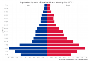 Population Pyramid of Beldandi Rural Municipality, Kanchanpur District (2011 Census)