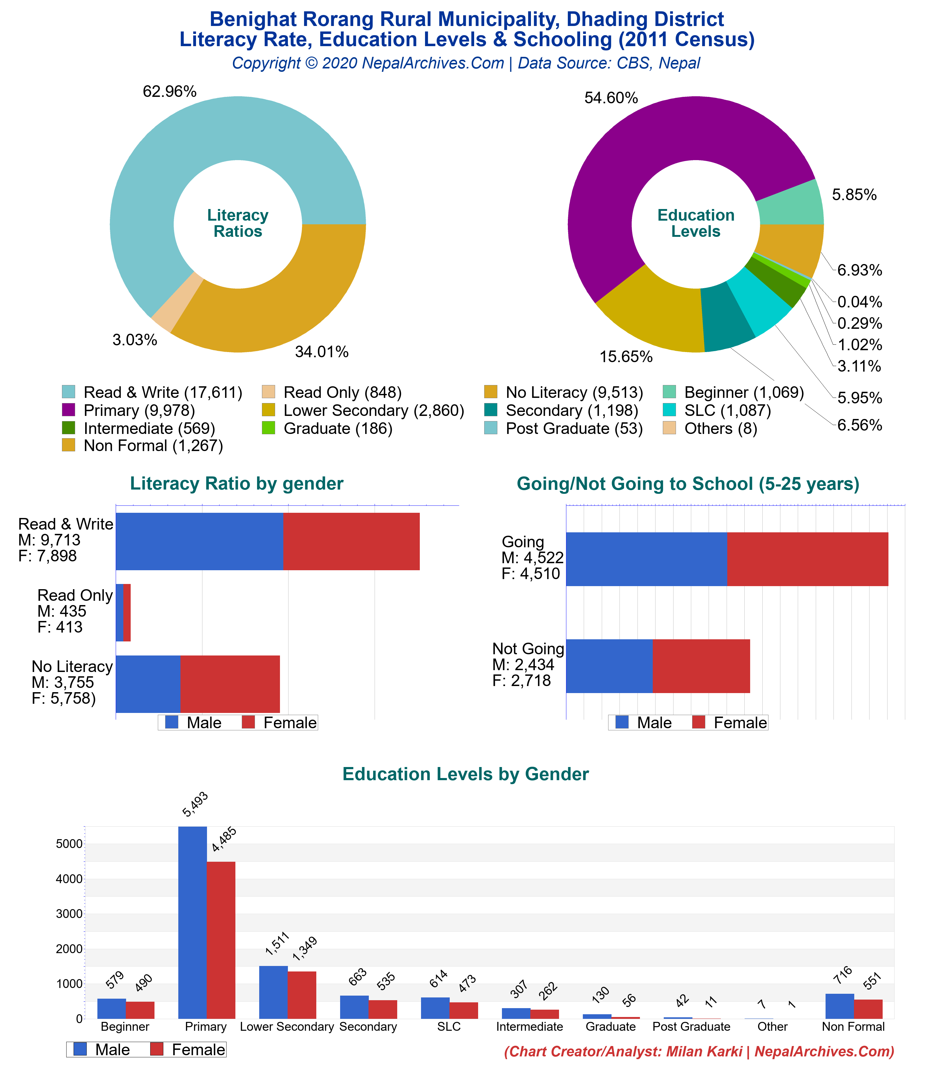 Literacy, Education Levels & Schooling Multicharts of Benighat Rorang